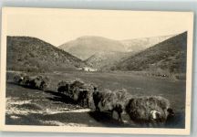 Heuernte Kilophot Foto AK
