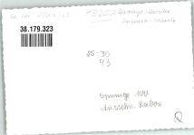W3257 Springe , Deister Wisentgehege Saupark Ort handschriftlich Büffel FOTO KEINE AK