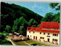 91349 W8551 Schlehenmühle Foto AK Gasthaus Pension Friedrich