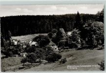 37603 W3450 Fohlenplacken