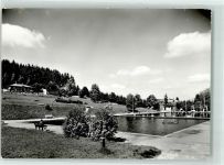 1 O9930 Adorf , Vogtl Foto AK Waldbad Schwimmbad