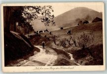 Idylle Nr. 15 Kühe auf der Wiese AK Elchlepp