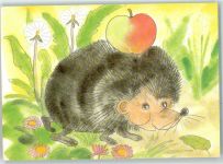 Apfel Igel
