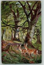 Rehe Verlag BMW Im Walde Serie II Splitgerber, A. & F. Künstlerkarte
