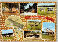 33758 W4815 Stukenbrock - Großwild Safaripark Senne Löwen Zebras Oryx-Antilopen Elefanten Strauße Giraffen