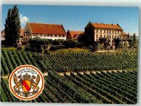 88090 W7997 Immenstaad am Bodensee - Schloss Kirchberg Schlosswappen