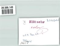 57392 W5948 Bödefeld FOTO KEINE AK Ort handschriftlich Foto Original aus Archiv eines Ansichtskartenverlags