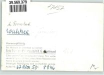 71540 W7157 Fornsbach , Württ FOTO KEINE AK Foto Original aus Archiv eines Ansichtskartenverlags Waldsee Ort handschriftlich