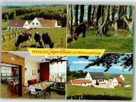 32312 W4990 Blasheim Werbe AK Pension Jäger-Klause Wildgehege Esel