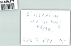 74889 W6920 Sinsheim , Elsenz FOTO KEINE AK Foto Original aus Archiv eines Ansichtskartenverlags Ort handschriftlich Steinsberg
