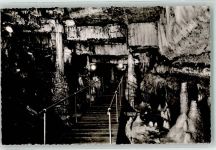 79686 W7861 Hasel - Erdmannshöhle Fürstengruft