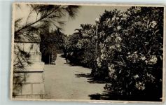 Castelnuovo Herceg Novi - Deo parka Hotela Boka