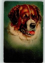 Nr. 611 Hund Bernhardiner Wenau