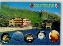 Grimsel Biber Waschbär Gänse Kristallgrotte Hotel Grimsel Blick Eule Foto AK
