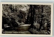 06543 O4721 Wippra Foto AK Hölzchen