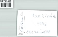 57392 W5948 Oberkirchen , Sauerl FOTO KEINE AK Kirche Ort handschriftlich Foto Original aus Archiv eines Ansichtskartenverlags