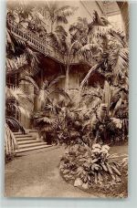 Antwerpen Anvers Wintergarten Zoo