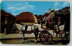 Merida Foto AK Pferdewagen Park to the Americas