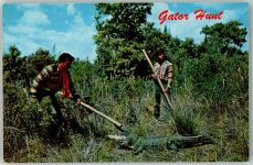 Gator Hunt In Den Everglates Seminole Indianer Krokodil