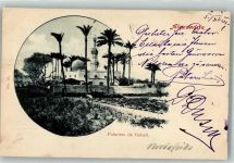 Alexandria 1901 Foto AK Pamier de Gabari