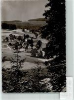 57339 W5927 Zinse FOTO KEINE AK Foto Original aus Archiv eines Ansichtskartenverlags Ort handschriftlich