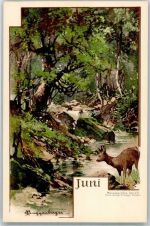 Monats AK Juni Serie II. Verlag M. Seeger Guggenberger, T. Künstlerkarte