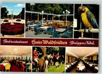 41379 W4057 Brüggen , Niederrhein - Gasthaus Waldfrieden Papagei