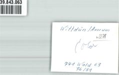 25946 W2278 Wittdün , Amrum FOTO KEINE AK Foto Original aus Archiv eines Ansichtskartenverlags
