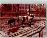 W6000 Frankfurt am Main Watussirind Ort handschriftlich Zoo FOTO KEINE AK
