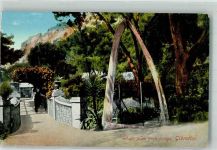 Gibraltar Eine Brücke mit Walkieferknochen Wal