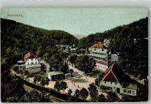 06493 O4301 Alexisbad 1909 - Bahnpost Frose