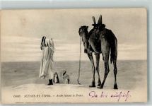 Nr. 6006 Scenes et Types Arabe faissant la Priere Kamel Volkstypen / Brauchtum Tunesien