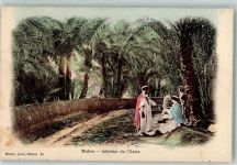 Biskra Inneres einer Oase Motiv Algerien 1906
