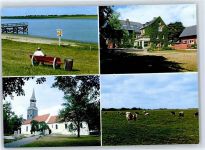 25774 W2247 Lunden , Holst - Kuhweide