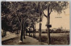 16816 O1952 Alt Ruppin - Waldweg