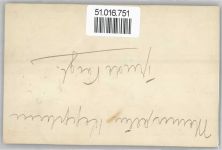 Trude Vaigl ? Autogramm
