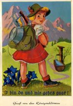 87645 W8959 Schwangau - Leporello, Wanderer, Königsschlösser