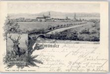 63628 W6483 Salmünster Lithographie sign. R.Berta