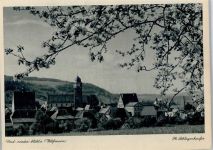 96260 W8628 Weismain - Frühlingsblüte