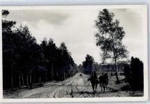 29328 W3105 Müden , Örtze - Weg beim Wietzer Berg