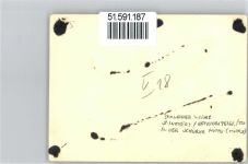 66386 W6670 St. Ingbert Privatfoto KEINE AK Schneider Werke Betriebsfeier Schürer Hütte Mühle Ort handschriftlich AKU2