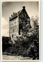 17268 O2090 Templin - Storch auf dem Prenzlauer Tor