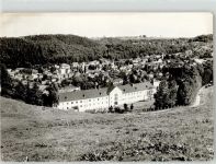 07980 O6602 Berga , Elster