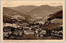 79215 W7807 Oberprechtal 1913