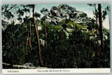 Cintra - Um trecho da Serra de Cintra