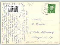 38154 W3308 Königslutter am Elm Privatfoto AK Weidende Kühe vor dem Kaiserdom Ort lt. Stempel