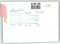 59909 W5780 Ramsbeck FOTO KEINE AK Pension Schwedler Garten Foto Original aus Archiv eines Ansichtskartenverlags Ort handschriftlich