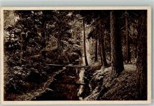29328 W3105 Müden , Örtze 1912 Foto AK Lüneburger heide
