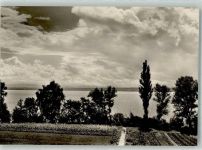 88090 W7997 Immenstaad am Bodensee Foto AK Bodensee
