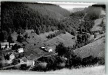 37520 W3360 Lerbach , Harz FOTO KEINE AK Foto Original aus Archiv eines Ansichtskartenverlages Ort handschriftlich